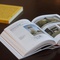 Buchvorstellung: Friedrich Achleitner`s BLICK