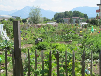 Stadt Gärten Parks Spiel Plätze in Klagenfurt